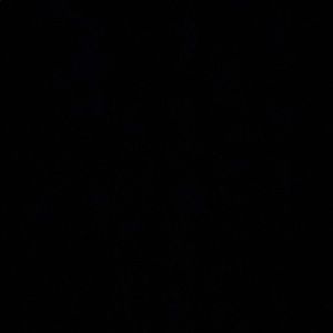 Meet your Posher, Saint